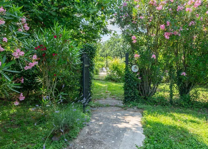 Les Cigales * Saint-Brès