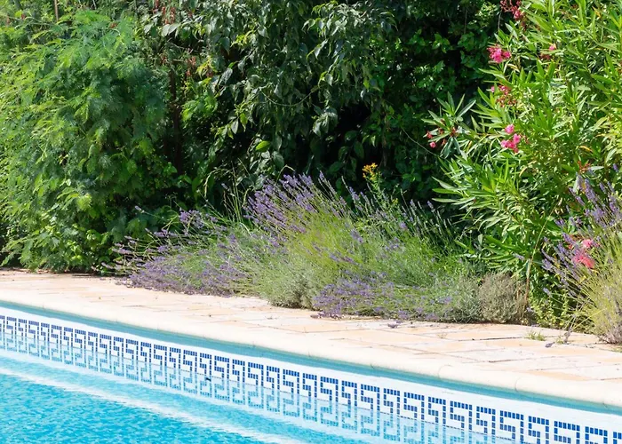 Les Cigales Saint-Brès